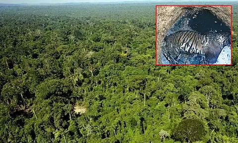 நீலகிரி: கிணற்றில் இறந்து கிடந்த புலி - வனத்துறையினர் விசாரணை