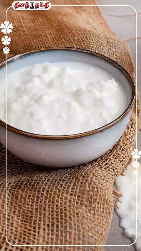 தினமும் தயிர் சாப்பிடுவது உடலுக்கு நல்லதா?
