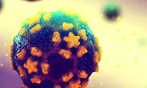 ஜெர்மனியில் கழிவுநீர் மாதிரியில் போலியோ வைரஸ் கண்டுபிடிப்பு - ஆய்வாளர்கள் எச்சரிக்கை