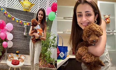 நாய்க்குட்டிக்கு கேக் வெட்டி பிறந்தநாள் கொண்டாடிய திரிஷா