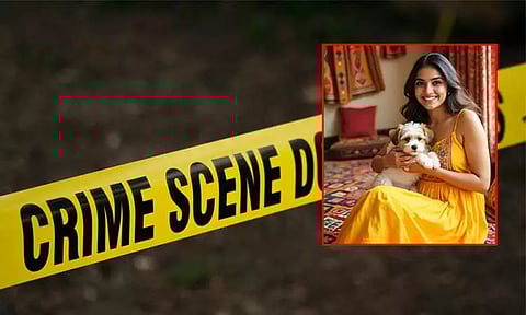 நாயை கொஞ்சும் சாக்கில் பெண் வழக்கறிஞருக்கு பாலியல் தொல்லை; செல்போன் பறிப்பு