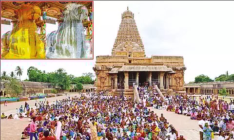 கார்த்திகை மாத பிரதோஷம்: தஞ்சை பெரிய கோவில் நந்திக்கு சிறப்பு அபிஷேகம்