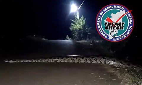 கன்னியாகுமரி: சாலையில் மலைப்பாம்பு செல்வதாக பரவும் வீடியோ - தமிழக அரசு விளக்கம்