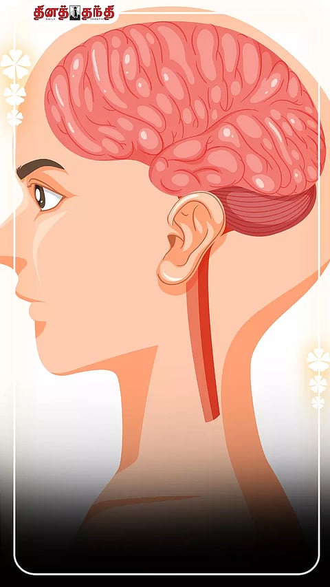 all photo using freepik