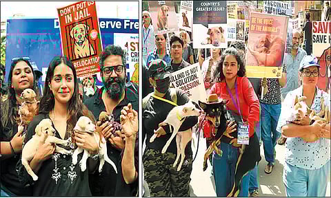 சென்னையில் தெருநாய்களை பாதுகாக்க கோரி பேரணி: நடிகை நிவேதா பெத்துராஜ் பங்கேற்பு