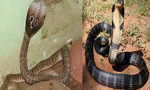 கோப்புப்படம் 