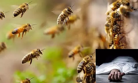 தேனீக்கள் கொட்டியதில் ஓய்வுபெற்ற போலீஸ் அதிகாரி பலி