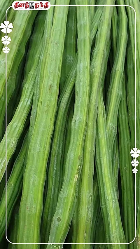 ஒதுக்காதிங்க..எலும்புகளை வலிமையாக்கும் முருங்கைக்காய்!