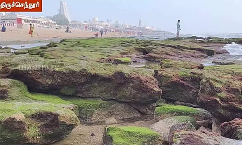 திருச்செந்தூரில் தீடீரென 75 அடி தூரத்திற்கு உள்வாங்கிய கடல்
