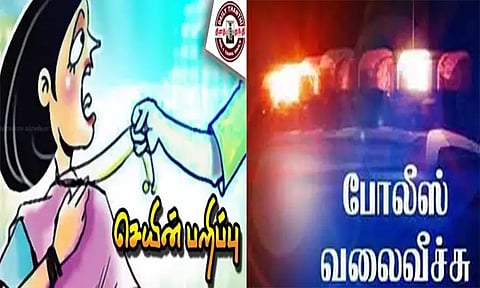 இளம்பெண்ணை தாக்கி தங்க செயின் பறிப்பு: 2 பேருக்கு போலீஸ் வலைவீச்சு