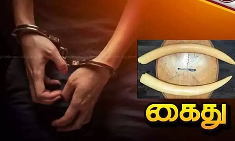 ராமநாதபுரத்தில் இருந்து இலங்கைக்கு கடத்த முயன்ற ரூ. 1 கோடி மதிப்புள்ள யானை தந்தங்கள் பறிமுதல்