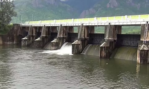 கடனாநதி அணையில் இருந்து பாசனத்துக்காக தண்ணீர் திறப்பு