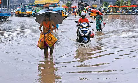 தமிழ்நாட்டில் வடகிழக்கு பருவமழை இயல்பை விட கூடுதலாக பெய்துள்ளது: வானிலை ஆய்வு மையம்