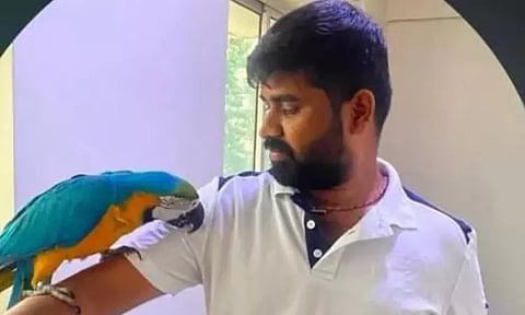 ரூ. 2.5 லட்சம் மதிப்புள்ள கிளியை காப்பாற்ற முயன்ற தொழிலதிபருக்கு நேர்ந்த சோகம்