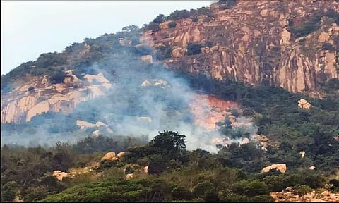 திருவண்ணாமலை: மகா தீப மலையில் தீ வைத்த மர்ம நபர்கள்