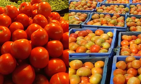 சமையலுக்கு சிறந்தது நாட்டு தக்காளியா.. ஹைபிரிட் தக்காளியா..? - விரிவான அலசல்