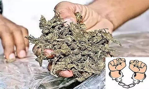 திருநெல்வேலியில் கஞ்சா விற்ற பீகார் மாநில வாலிபர் கைது