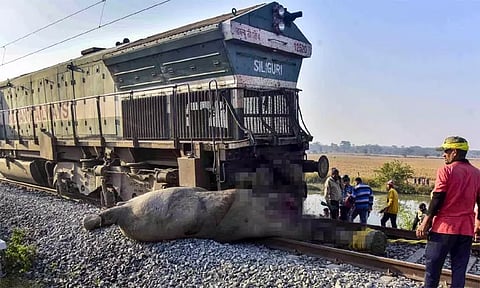 அசாம்: எக்ஸ்பிரஸ் ரெயில் மோதி 8 யானைகள் பலி