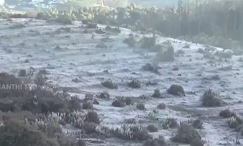 வார விடுமுறை: உறைபனியை அனுபவிக்க ஊட்டியில் குவிந்த சுற்றுலா பயணிகள்