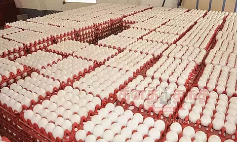 நாமக்கல்லில் மீண்டும் புதிய உச்சத்தில் முட்டை கொள்முதல் விலை.!