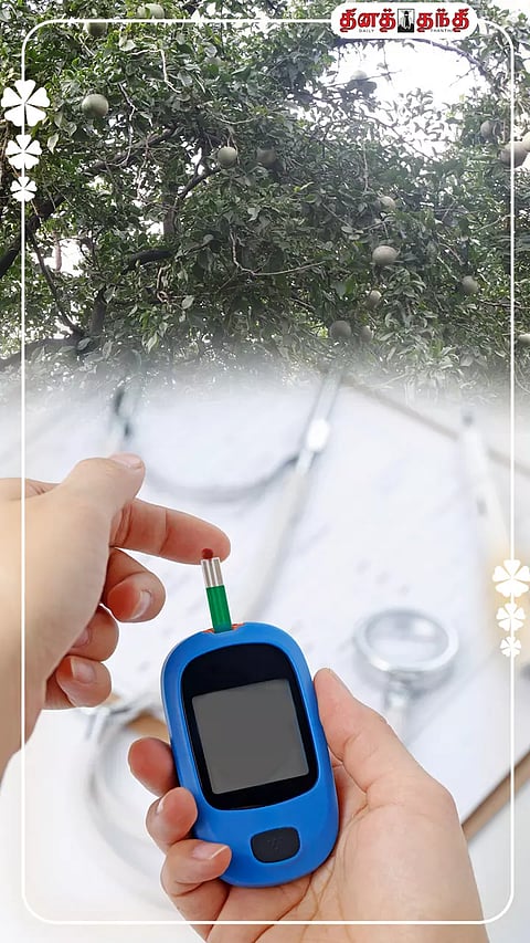 நீரிழிவு நோயை கட்டுப்படுத்தும் மூலிகைகள்.. வீட்டிலேயே வளர்க்கலாம் வாங்க !