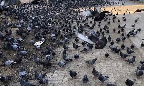 கோப்புப்படம் 