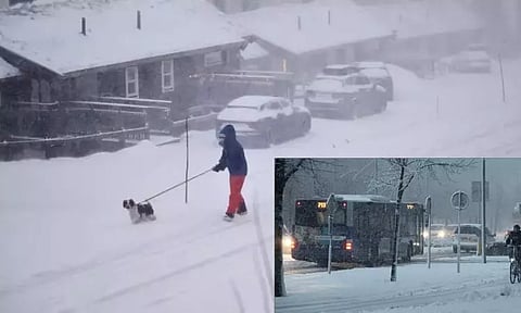 ஸ்வீடனில் பனிப்புயல்: 3 பேர் பலி