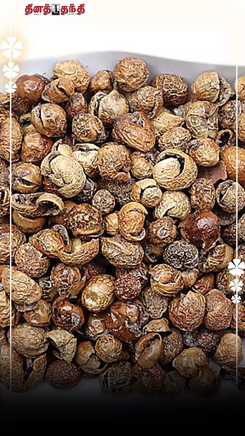 ஆமாங்க..வாரம் இரண்டுமுறை சுண்டைக்காய்..என்னனு உள்ள வந்து பாருங்க.!!