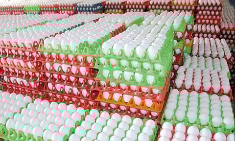 இந்திய அளவில் முதலிடம்... நாமக்கல் மண்டலத்தில் நாள் ஒன்றுக்கு 7.47 கோடி முட்டைகள் உற்பத்தி