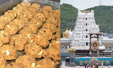 2025ம் ஆண்டில் திருப்பதி லட்டு விற்பனை அமோகம்