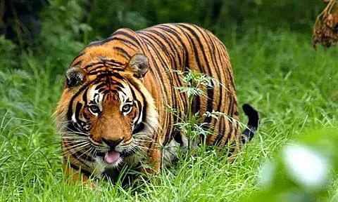 கோப்புப்படம்