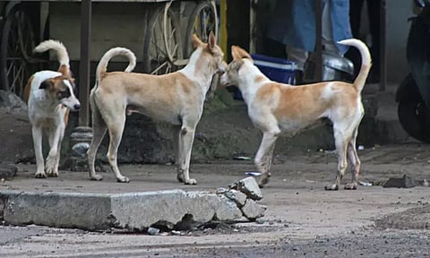 கோப்புப்படம்