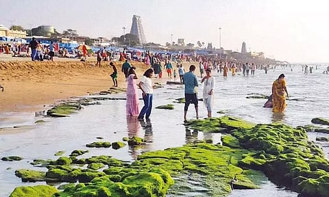 திருச்செந்தூரில் 50 அடி தூரம் உள்வாங்கிய கடல்