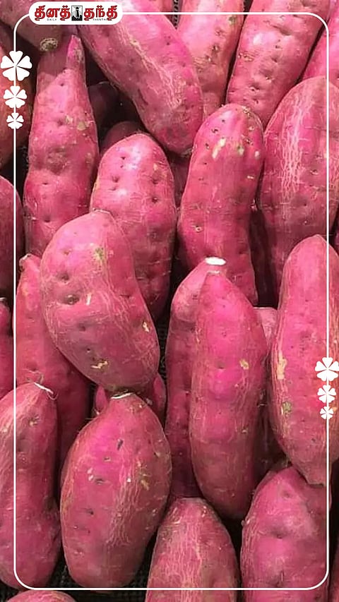 இந்த 07 பிரச்சினை உள்ளவர்கள் சர்க்கரைவள்ளி கிழங்கை தவிர்ப்பது நல்லது.!