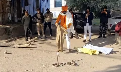 எது கடித்தது என தெரியவில்லை... 3 பாம்புகளுடன் ஆஸ்பத்திரிக்கு வந்த வாலிபரால் பரபரப்பு