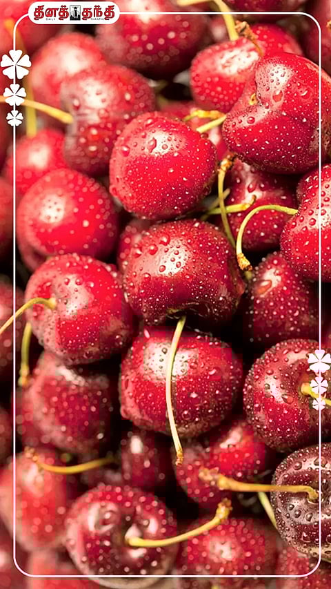 இதய நோய் முதல் உடல் எடை வரை.. செர்ரி பழத்தின் நன்மைகள்.!