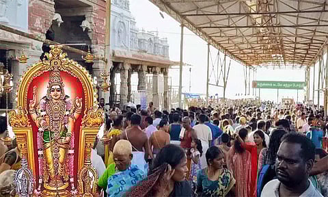 பொங்கல் பண்டிகையையொட்டி, திருச்செந்தூரில் குவிந்த பக்தர்கள்.. நீண்ட நேரம் காத்திருந்து தரிசனம்