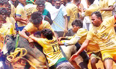 கோப்புப்படம் 