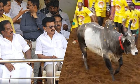 அலங்காநல்லூரில் ஜல்லிக்கட்டு போட்டியை கண்டுகளிக்கும் முதல்-அமைச்சர் மு.க.ஸ்டாலின்