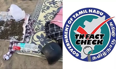 தமிழக கடற்கரையில் கஞ்சா செடி காய வைப்பா? - தகவல் சரிபார்ப்பகம் விளக்கம்
