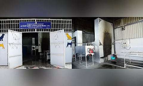 கண்ணம்மாபேட்டையில் இதுவரை 439 இறந்த செல்லப் பிராணிகள் தகனம்: சென்னை மாநகராட்சி தகவல்