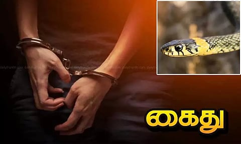 கோப்புப்படம் 