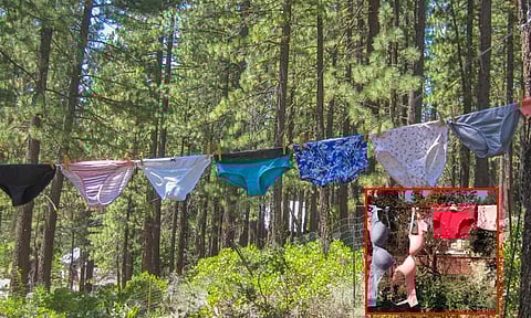 பெண்களின் உள்ளாடைகளாக பார்த்து திருடி, அணிந்து, செல்பி எடுத்த நபர்