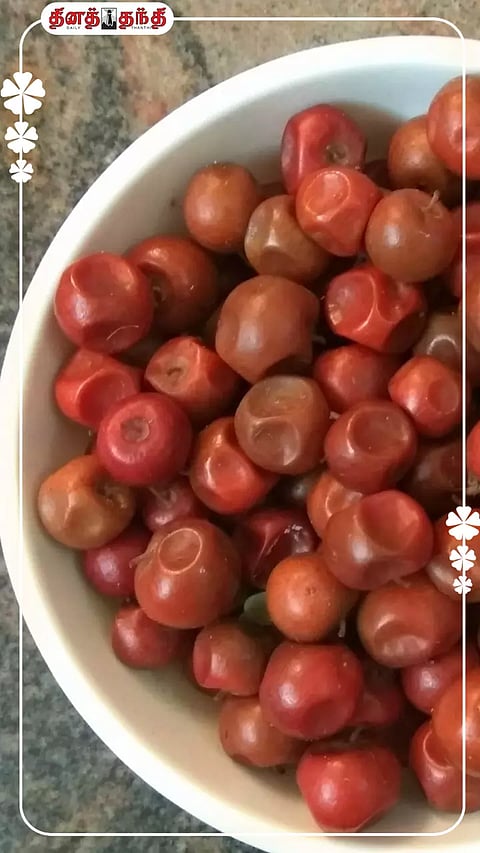 இலந்தை பழம்..விலை மலிவு..பலன் அதிகம்.!