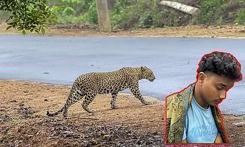 தாய் மீது திடீரென பாய்ந்த சிறுத்தைப்புலி; வெறும் கைகளாலேயே அடித்து கொன்ற இளைஞர்
