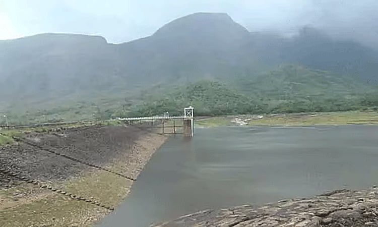 நீர்வரத்து இன்றி வறண்டு கிடக்கும் ராமநதி அணை/Ramanadi Dam is dry ...