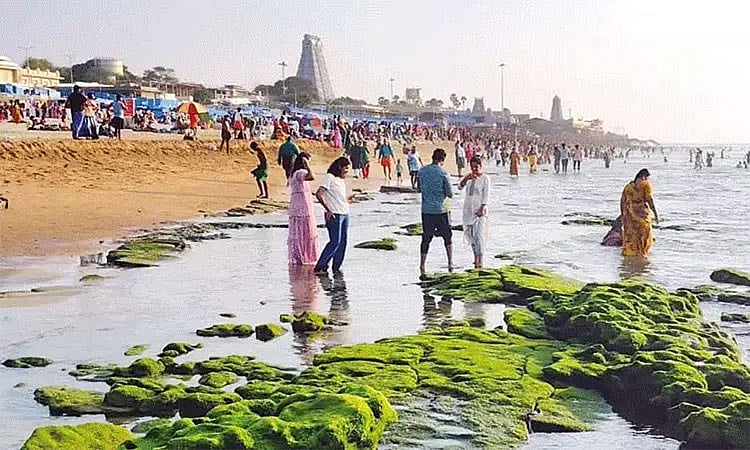 Sea Suddenly Recedes 70 Feet at Thiruchendur Temple, Sparking Public Panic