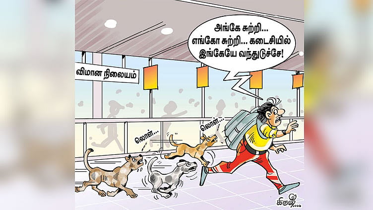 அதிகரித்து வரும் தெரு நாய்கள் தொல்லை !