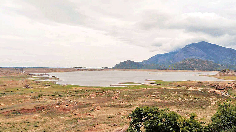 கோவை, நீலகிரியில் அணைகளின் நீர்மட்டம் குறைந்தது: குடிநீர் தட்டுப்பாடு அபாயம்