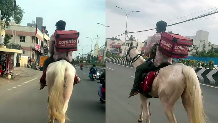 பைக்குக்கு பதில் குதிரை... அனைவரையும் திரும்பிப் பார்க்க வைத்த டெலிவரி பாய்!